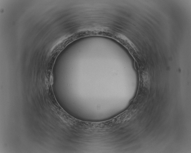 X0000070381064200606231707