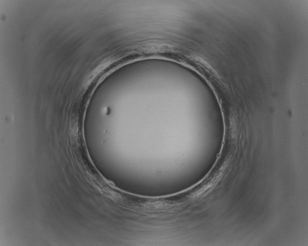 X0000070381065200606231706