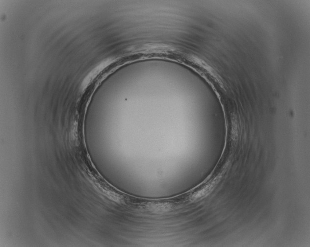 X0000070381066200606231706