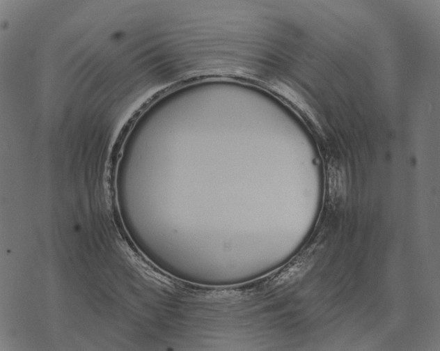 X0000070381068200606231706