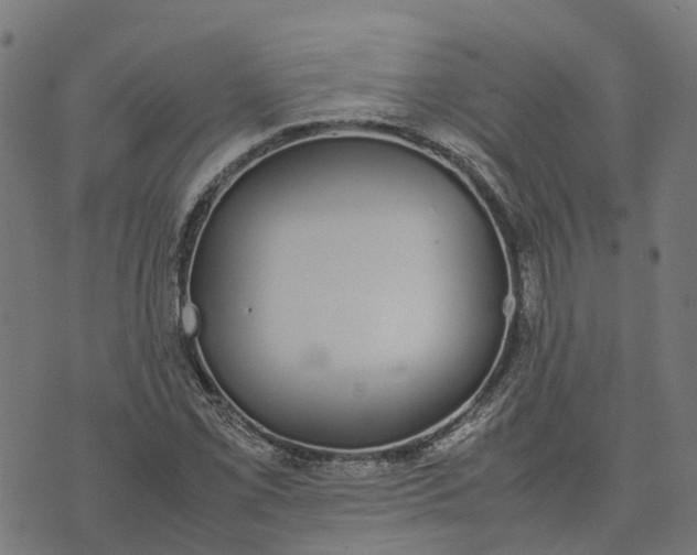 X0000070381069200606231706