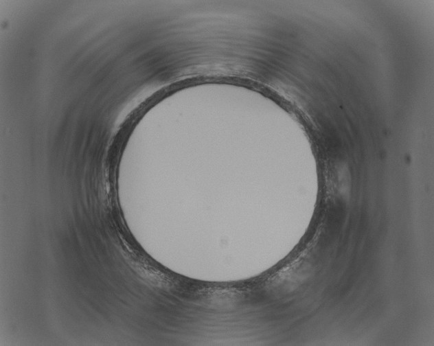 X0000070381070200606231706