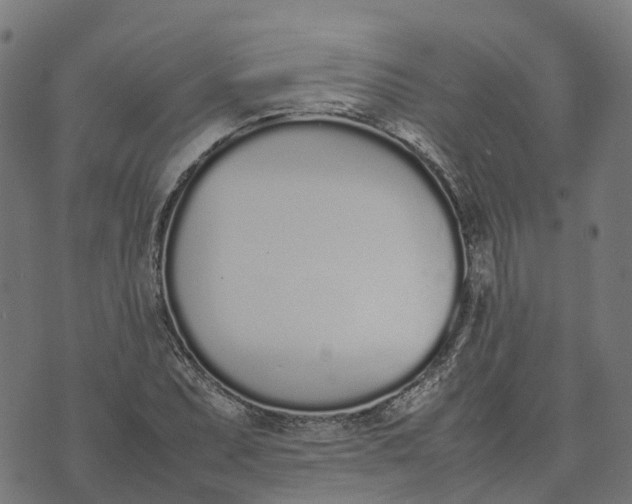 X0000070381071200606231706