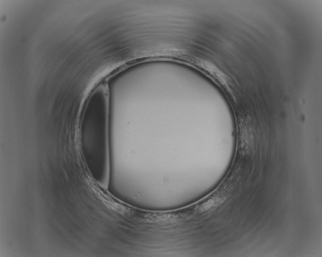 X0000070381072200606231706