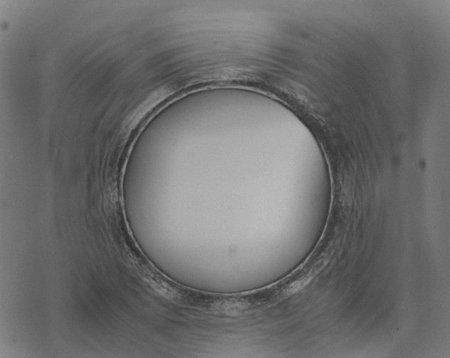 X0000070381073200606231706