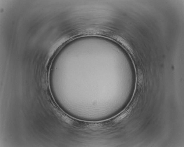 X0000070381075200606231706