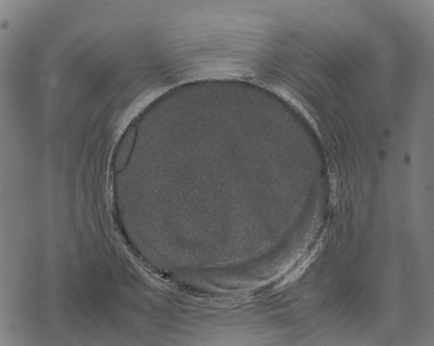 X0000070381077200606231706