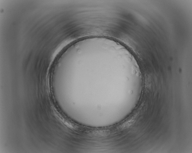 X0000070381078200606231706