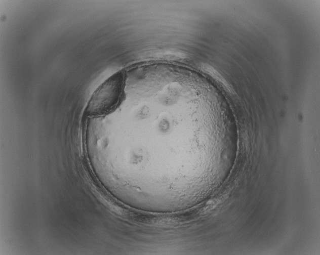 X0000070381079200606231706