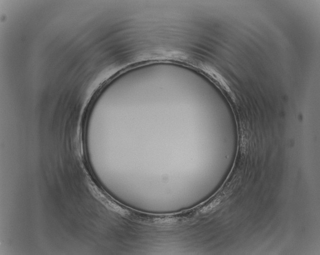 X0000070381080200606231706