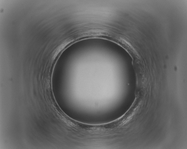 X0000070381081200606231706