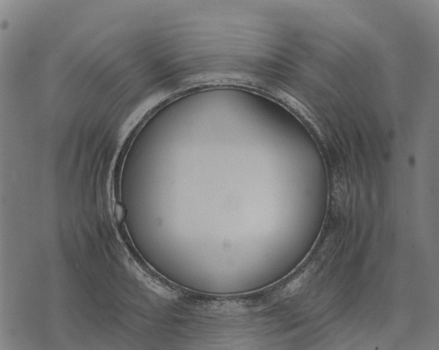 X0000070381082200606231706