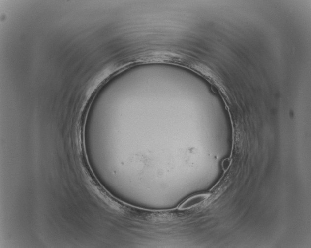 X0000070381083200606231706