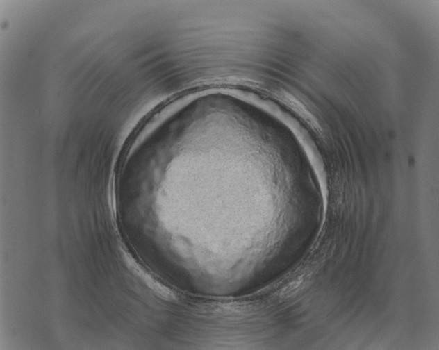 X0000070381084200606231706