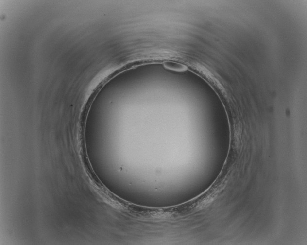 X0000070381085200606231706