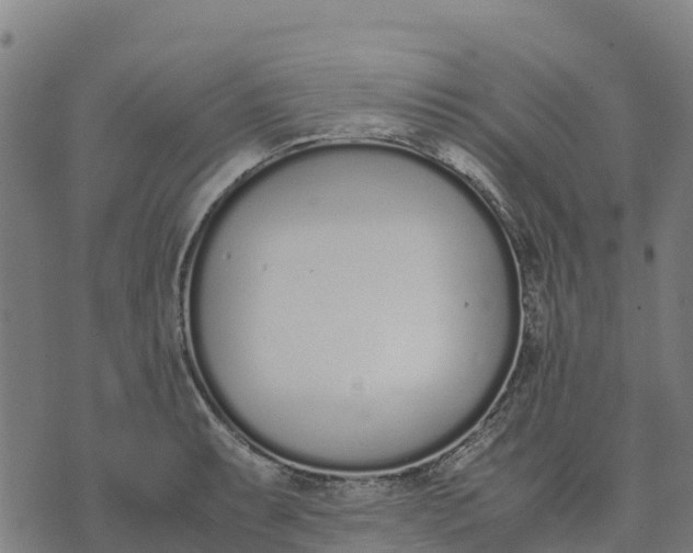 X0000070381087200606231706