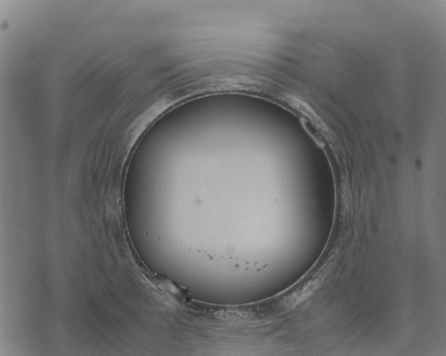 X0000070381089200606231706