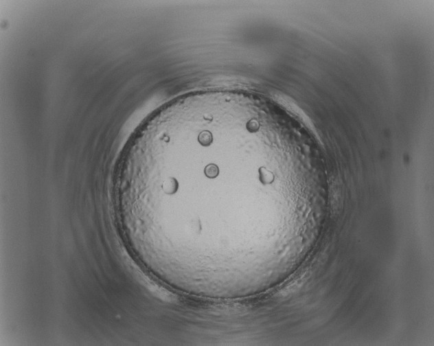 X0000070381091200606231706