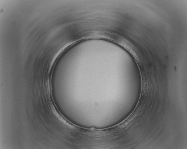 X0000070381092200606231706