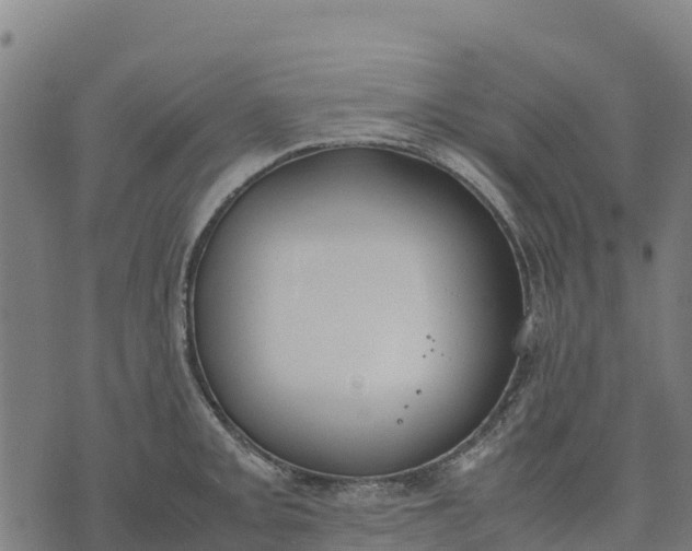 X0000070381093200606231706