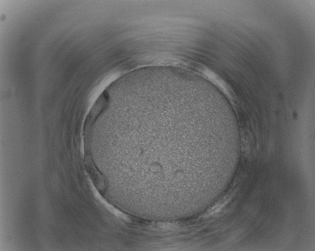 X0000070381095200606231706