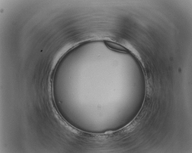 X0000070381096200606231706