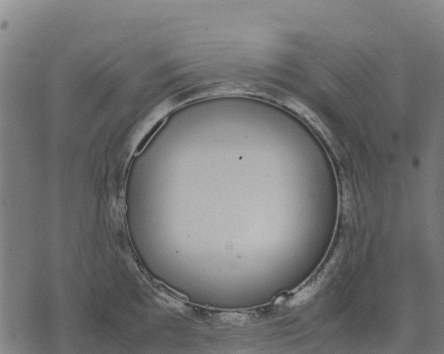 X0000070381097200606231706