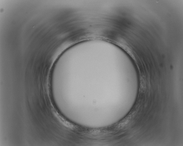 X0000070381098200606231706