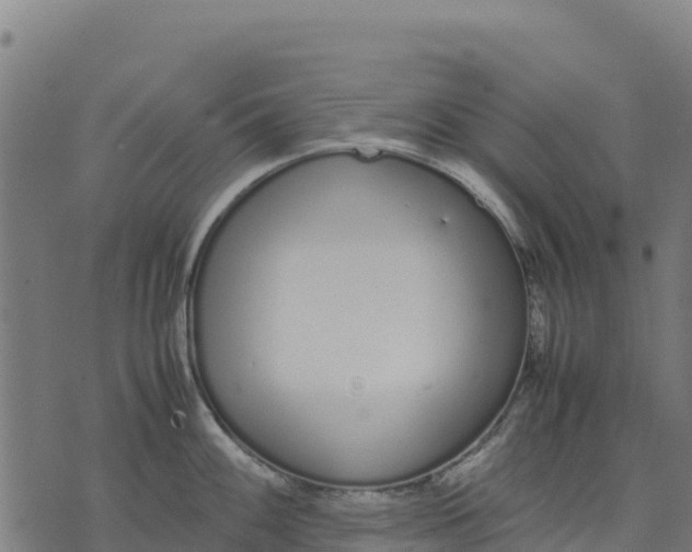 X0000070381100200606231706