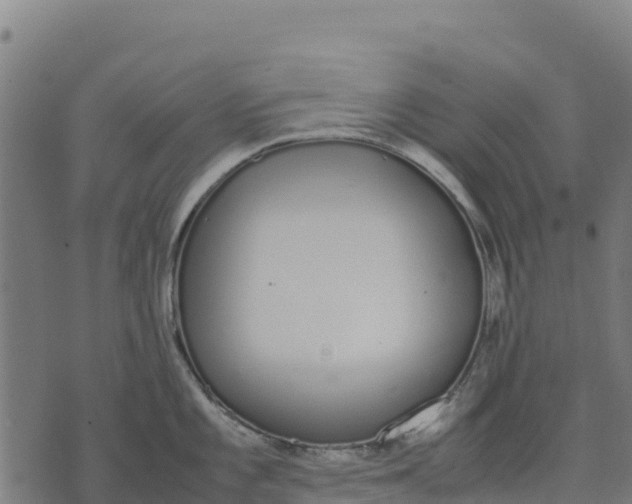 X0000070381101200606231706