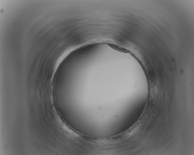 X0000070381102200606231706