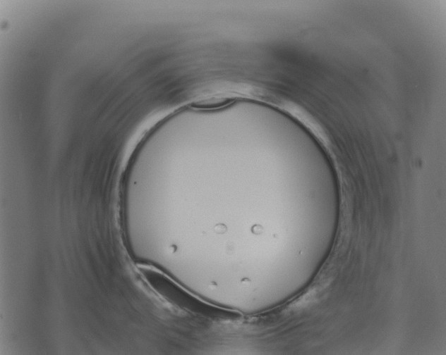 X0000070381104200606231706