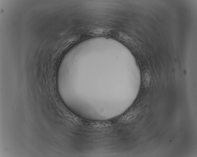 X0000070381105200606231705