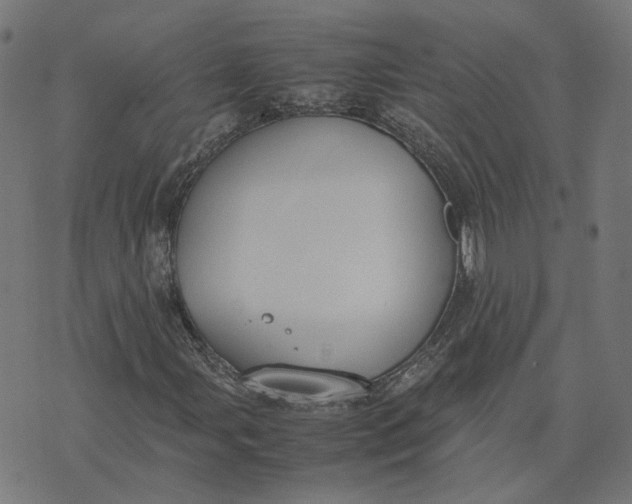 X0000070381107200606231705