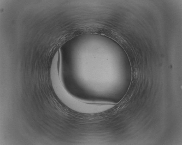 X0000070381108200606231705