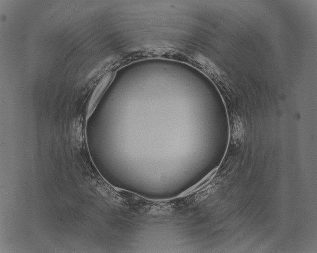 X0000070381110200606231705