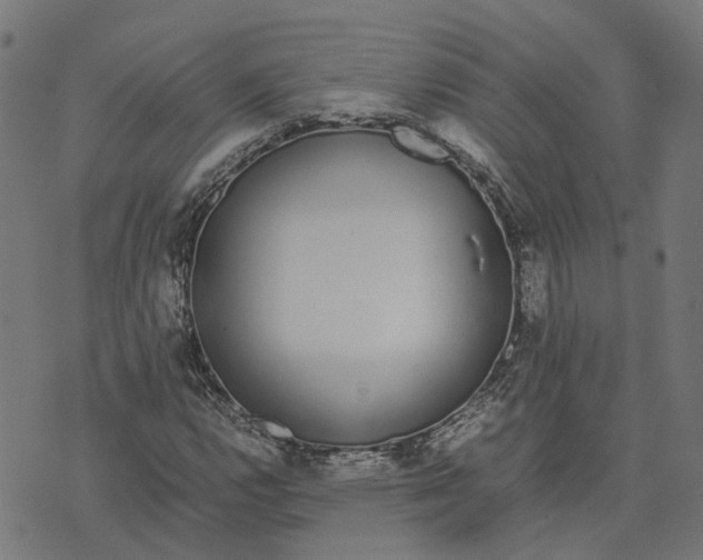 X0000070381112200606231705