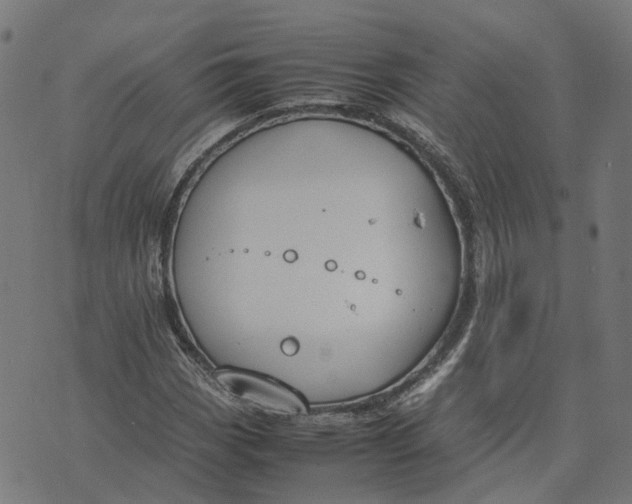 X0000070381113200606231705