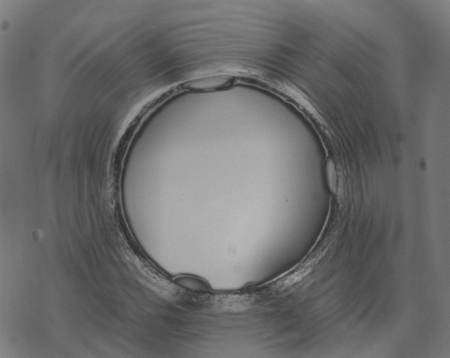 X0000070381116200606231705