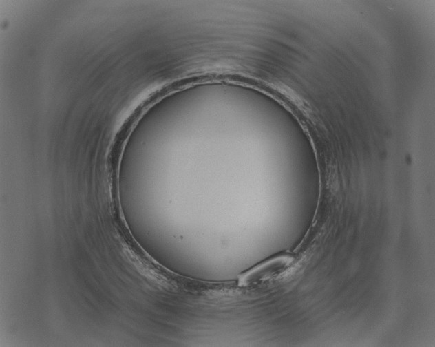 X0000070381118200606231705