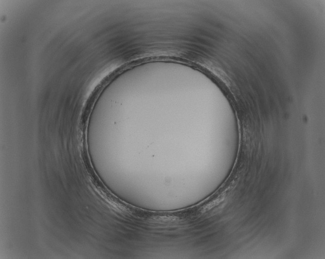 X0000070381119200606231705