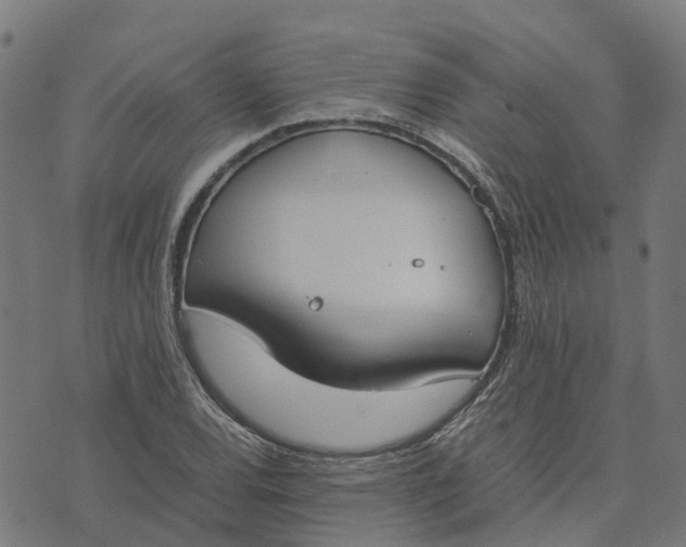 X0000070381120200606231705