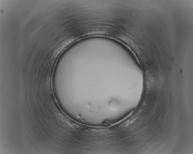 X0000070381121200606231705