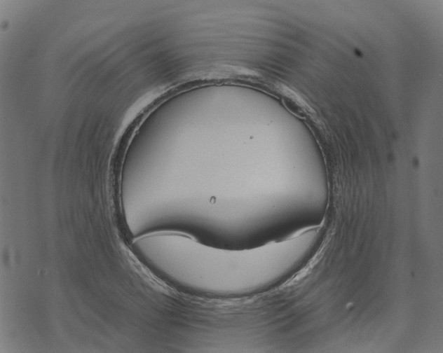 X0000070381122200606231705