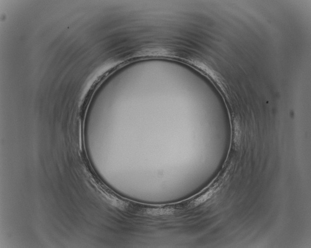 X0000070381123200606231705