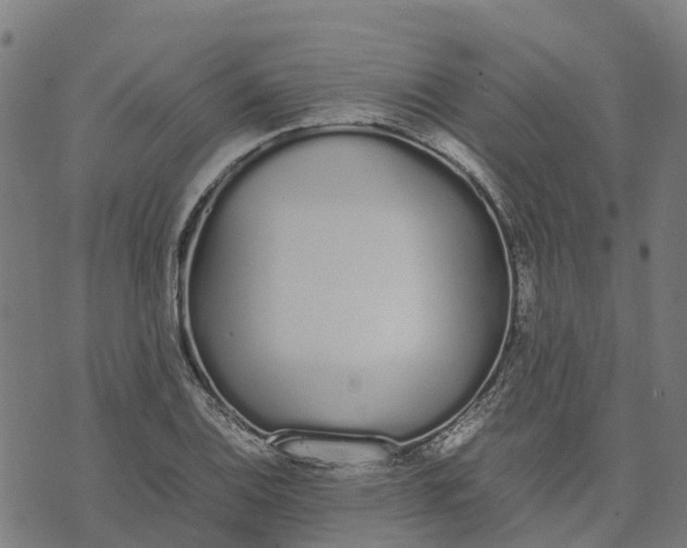 X0000070381124200606231705