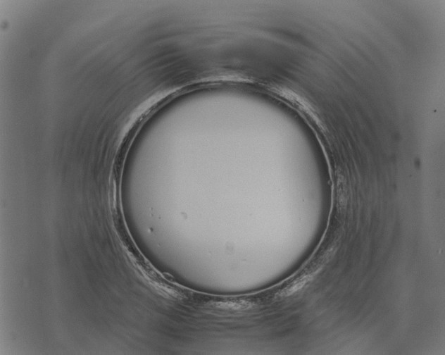 X0000070381125200606231705