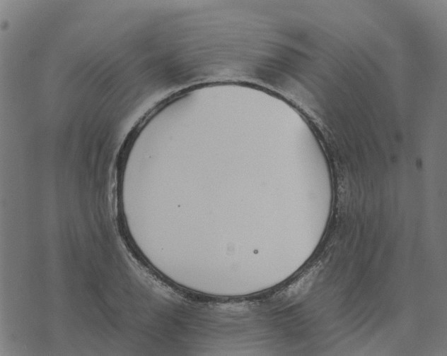 X0000070381126200606231705