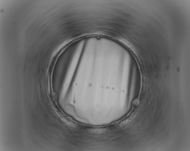 X0000070381127200606231705