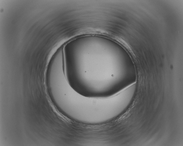 X0000070381128200606231705